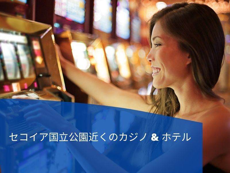 カジノ・ギャンブルにおけるソーシャルメディアマーケティングの方法 (7)